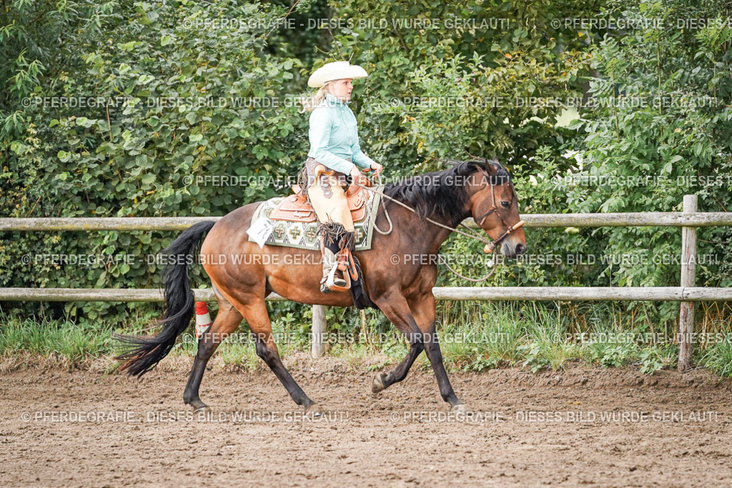 DSC08915 | Pferdegrafie