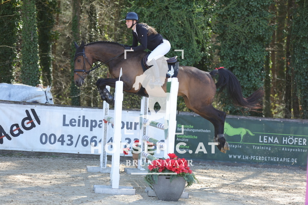 0P6A0311 | Willkommen bei Brunnmayr - Design & Fotografie – Ihrem Spezialisten für Reitturniere und Pferdeveranstaltungen in Oberösterreich, Salzburg und Bayern! Seit über 17 Jahren sind wir leidenschaftlich dabei.