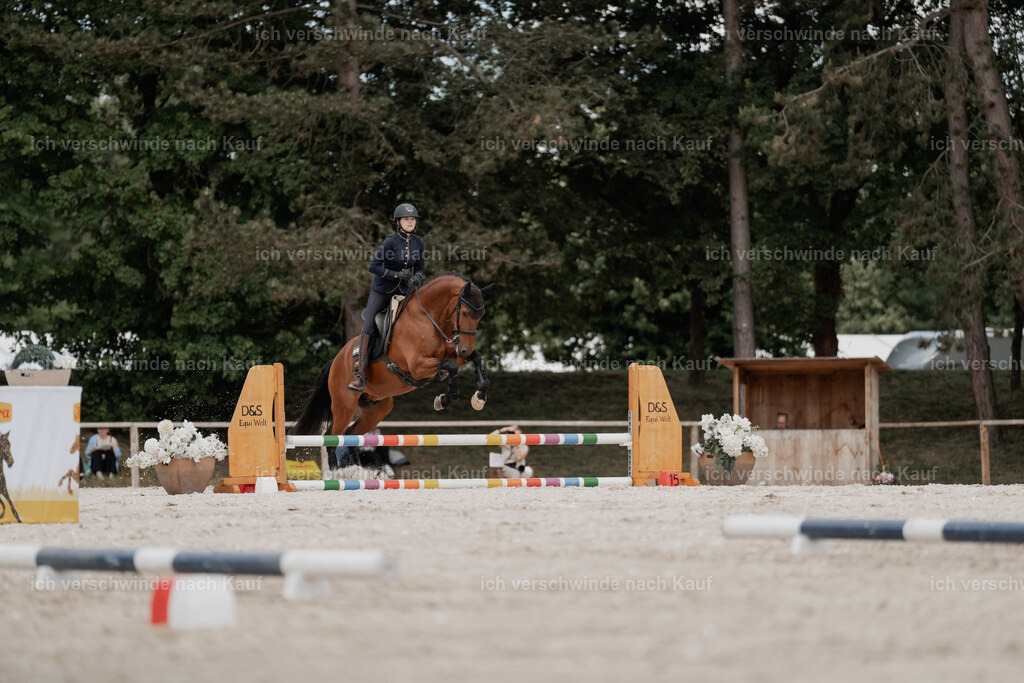 WE_ST_Stoib_335_PI2025_1007 | Pferd International München 2025