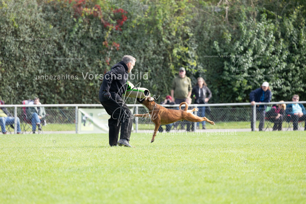 _16A5411 | Einzigartige Fotos von Hunden & Menschen –Actionfotos, Portraits, Vereinsaufnahmen & Paarshootings – authentisch, lebendig & mit Herz.