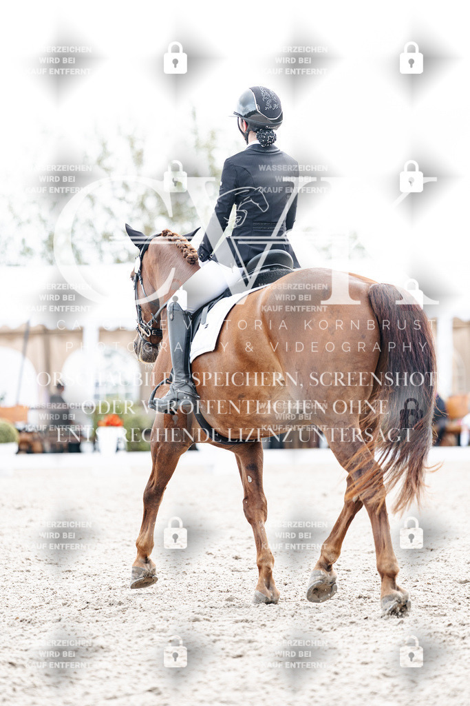 CK900883 | Turnierfotografie Pferdefotografie Trier Rheinland-Pfalz Pferdesport Reitsport Tierfotografie Sportfotografie Pferdevideo Pferdevideografie Equestrianvideography equestrianphotography  - Realisiert mit Pictrs.com