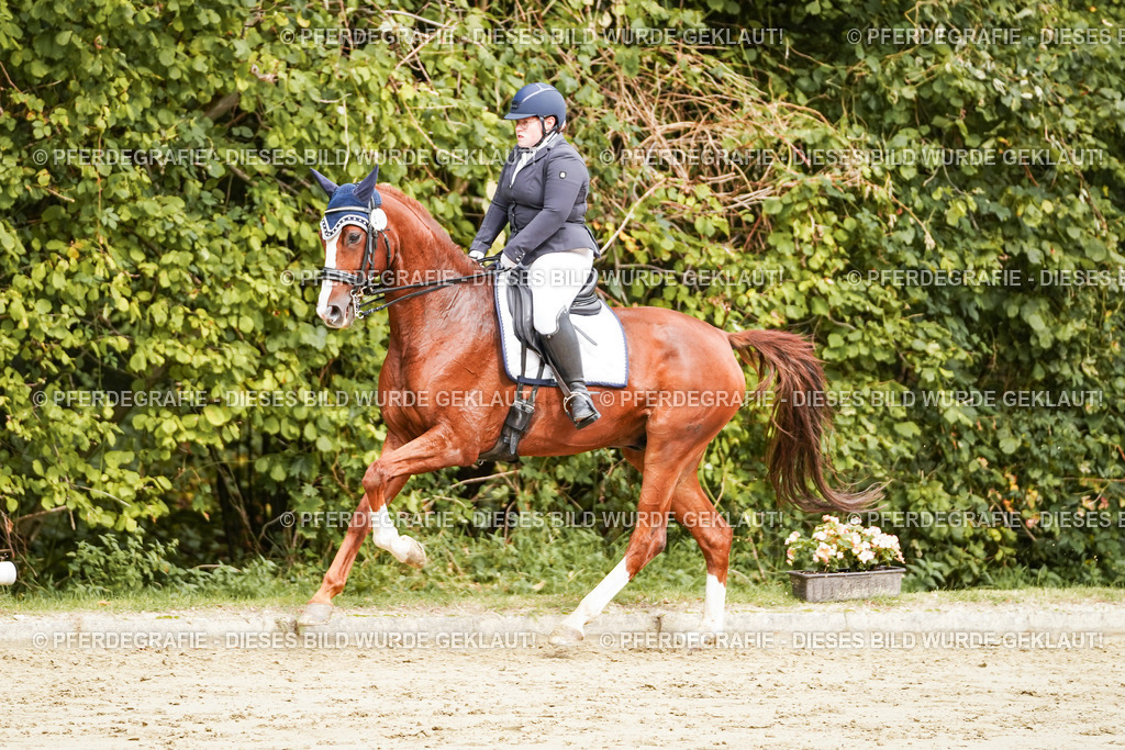 DSC03193 | Pferdegrafie