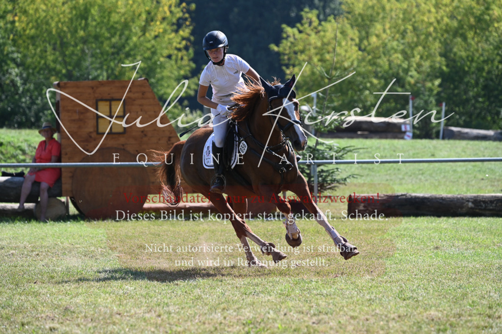 DSC_6417 | Pferde- und Turnierfotografie in Westsachsen. Pferdeportraits, Auftragszeichnungen und intuitive Kunst.