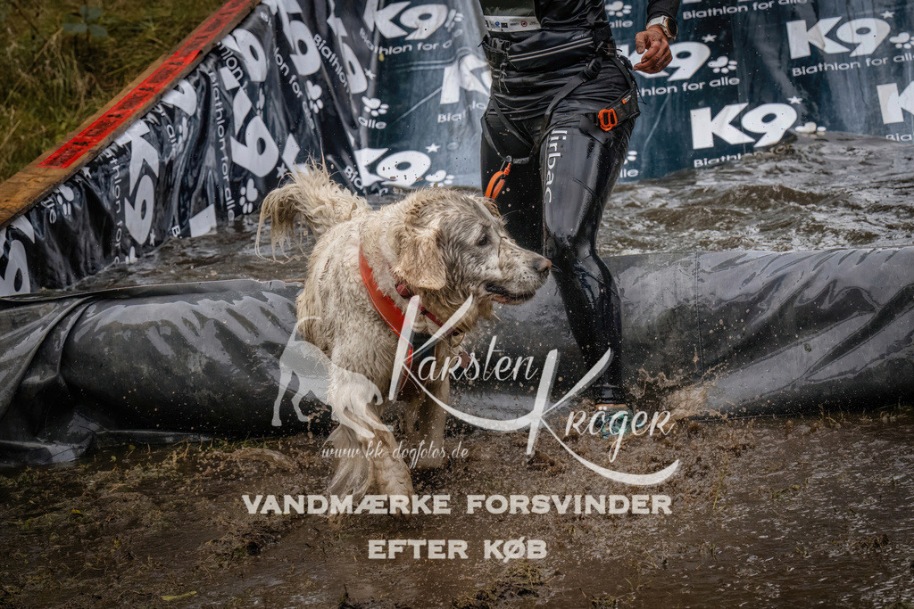 1213_ZZ94800 | kk-dogfotos