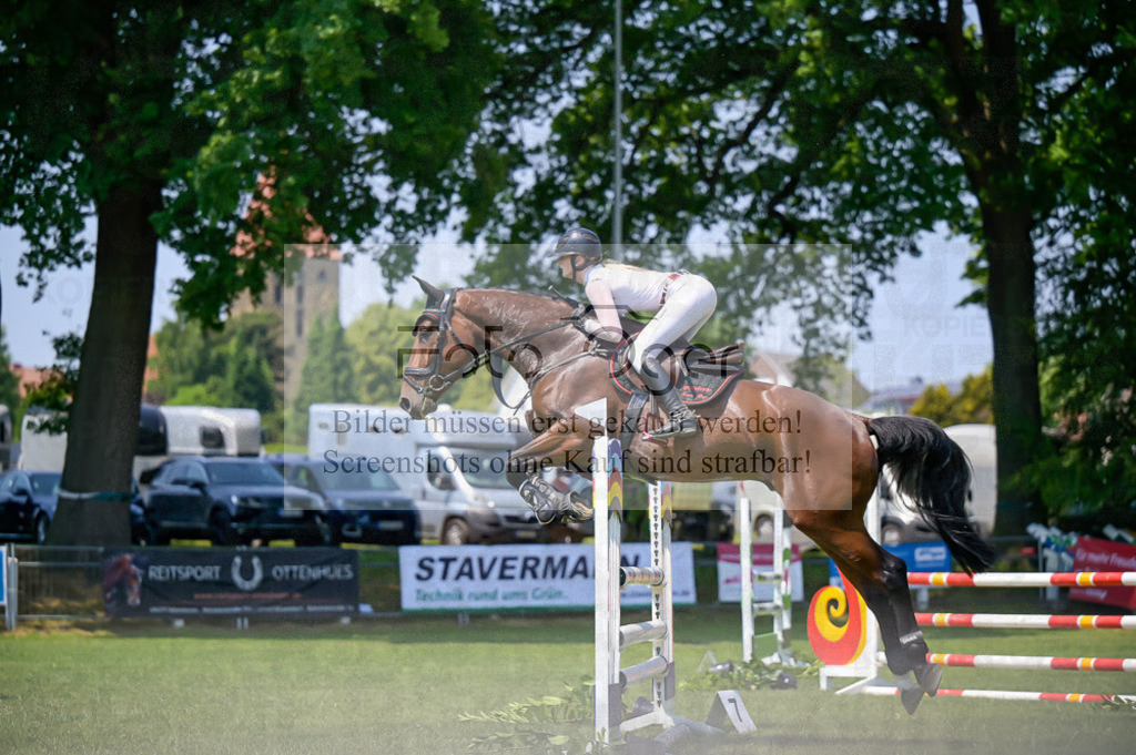 Reitturnier Voxtrup | Entdecke hochwertige Reitturnierfotos von Foto Oger. Professionell, emotional und authentisch – jetzt Lieblingsmomente im Shop bestellen.Deutschlandweite Turnierfotografie. - Realisiert mit Pictrs.com