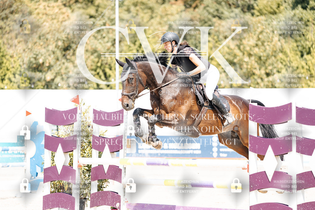 CK901023 | Turnierfotografie Pferdefotografie Trier Rheinland-Pfalz Pferdesport Reitsport Tierfotografie Sportfotografie Pferdevideo Pferdevideografie Equestrianvideography equestrianphotography  - Realisiert mit Pictrs.com