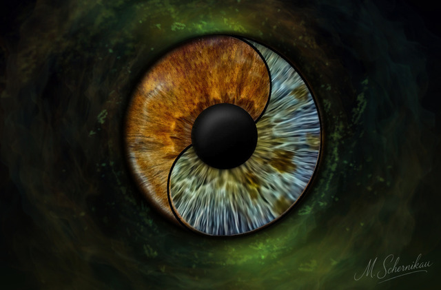 112 | Erleben Sie die Faszination der Irisfotografie! Verwandeln Sie Ihre Augen in ein einzigartiges Kunstwerk. Perfekte Geschenkidee für besondere Anlässe. Jetzt entdecken und bestellen! - Realized with Pictrs.com