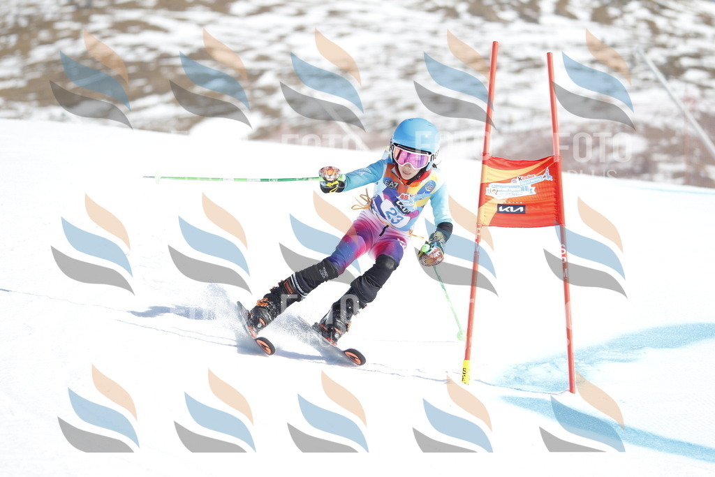 _U3G8913 | holidayphoto