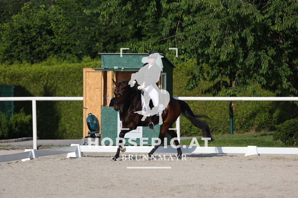 0P6A4008 | Willkommen bei Brunnmayr - Design & Fotografie – Ihrem Spezialisten für Reitturniere und Pferdeveranstaltungen in Oberösterreich, Salzburg und Bayern! Seit über 17 Jahren sind wir leidenschaftlich dabei.
