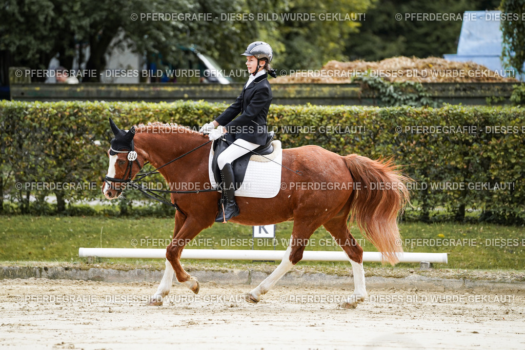 DSC05422 | Pferdegrafie