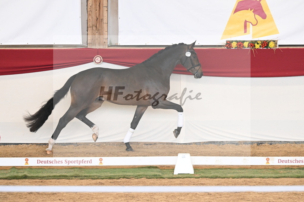 Kat.-Nr. 88 v. Zackerey_Rakelbusch_3261309 | hf-fotografie - Realizzato con Pictrs.com