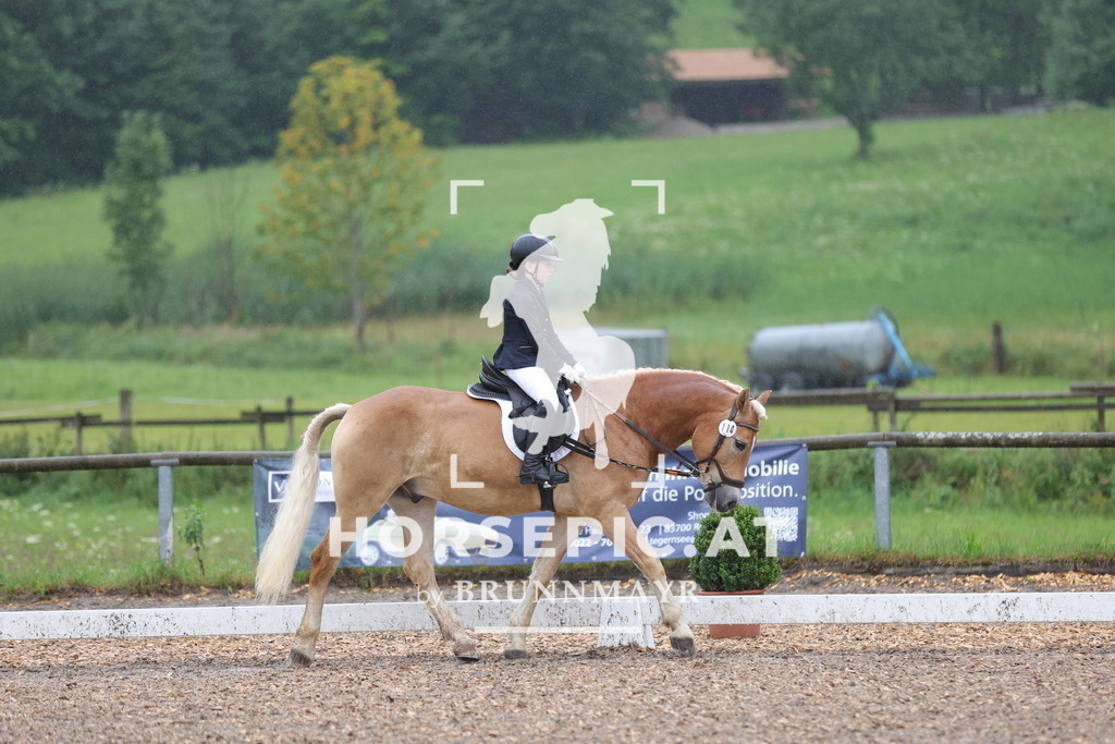 0P6A8615 | Willkommen bei Brunnmayr - Design & Fotografie – Ihrem Spezialisten für Reitturniere und Pferdeveranstaltungen in Oberösterreich, Salzburg und Bayern! Seit über 17 Jahren sind wir leidenschaftlich dabei.
