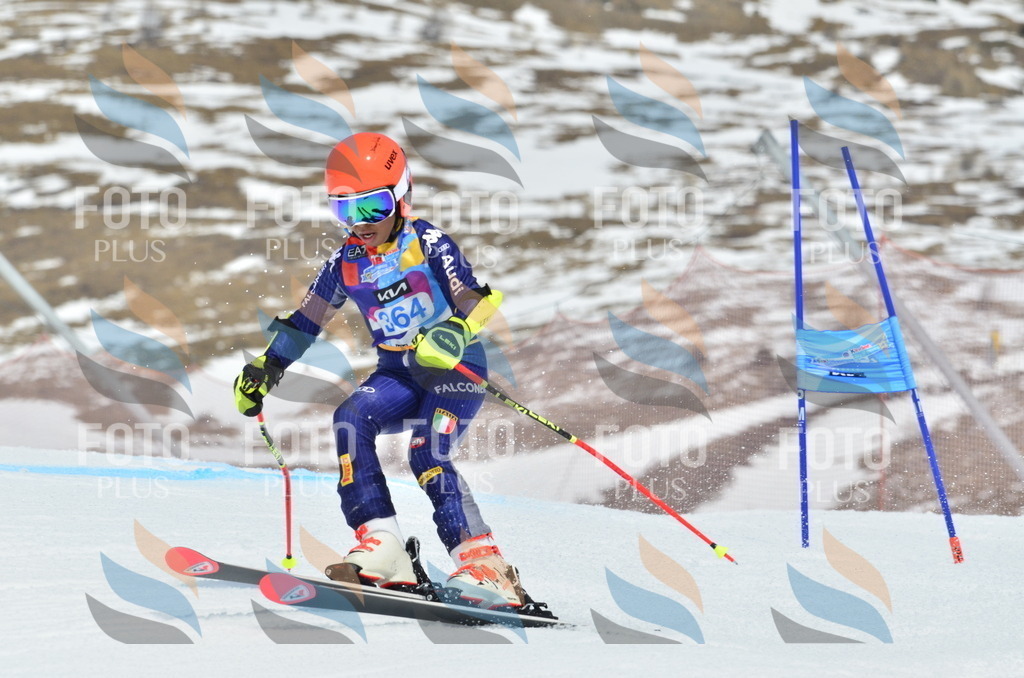 _ELE2912 | holidayphoto