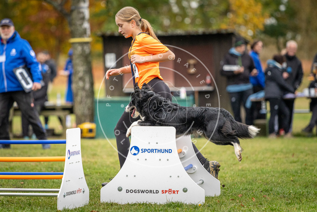 Pfotenfotografie_DV3A0572 | Hundefotografie, Tierfotograf, Pfotenfotografie, Fotoshooting Hund, Hunde Portrait, Hundesport, Hundeportraits, Heideshooting, Hunde, Sportfotograf, Hundefotograf, Turnierhundsport, THS,  - Realisiert mit Pictrs.com