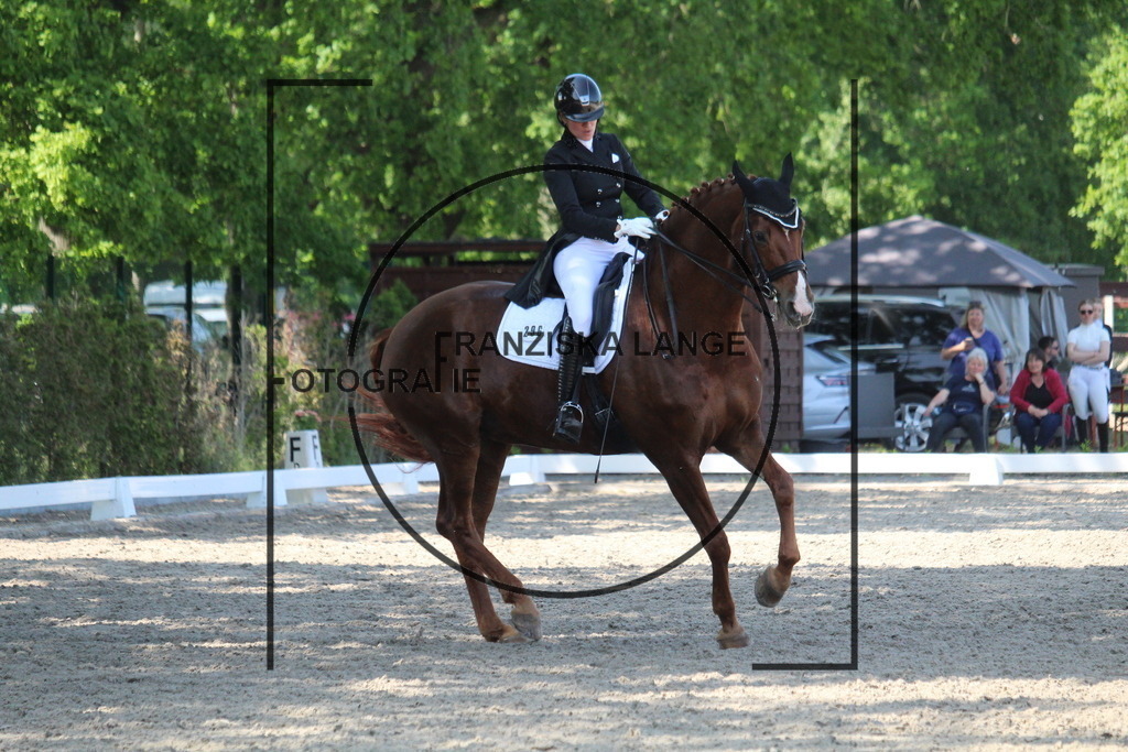 IMG_5141 | franziskalange - Realisiert mit Pictrs.com