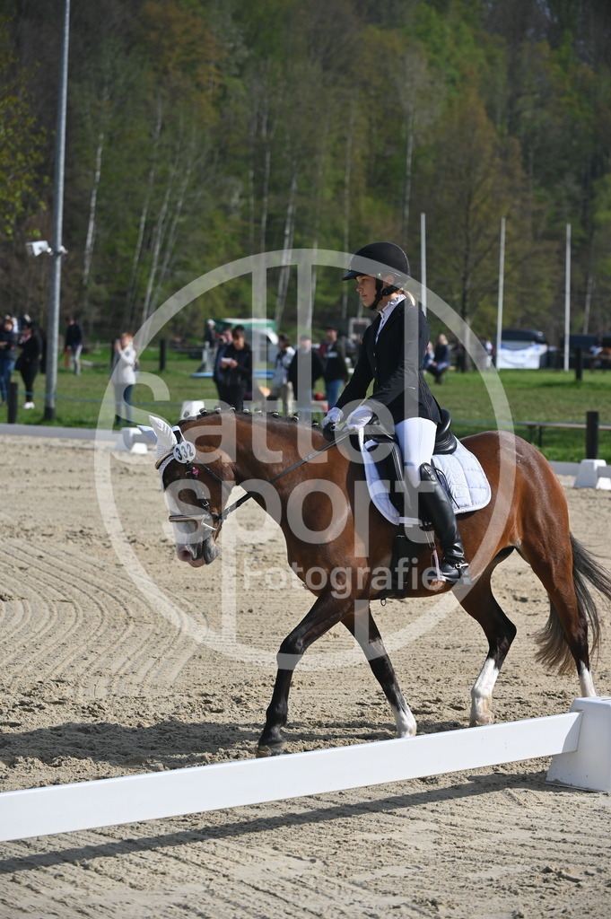 DSC_0479 | sattelsport - Realisiert mit Pictrs.com