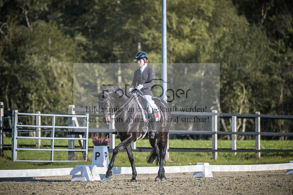 DOS_B856 | Entdecke hochwertige Reitturnierfotos von Foto Oger. Professionell, emotional und authentisch – jetzt Lieblingsmomente im Shop bestellen.Deutschlandweite Turnierfotografie. - Realisiert mit Pictrs.com