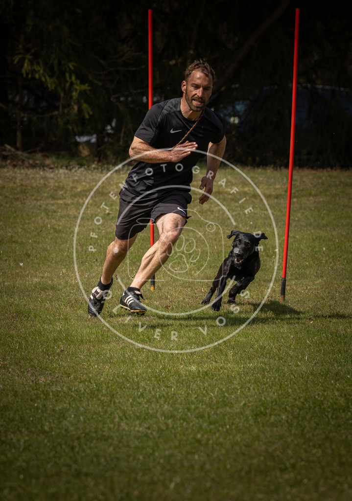 Pfotenfotografie_DV3A4308 | Hundefotografie, Tierfotograf, Pfotenfotografie, Fotoshooting Hund, Hunde Portrait, Hundesport, Hundeportraits, Heideshooting, Hunde, Sportfotograf, Hundefotograf, Turnierhundsport, THS,  - Realisiert mit Pictrs.com