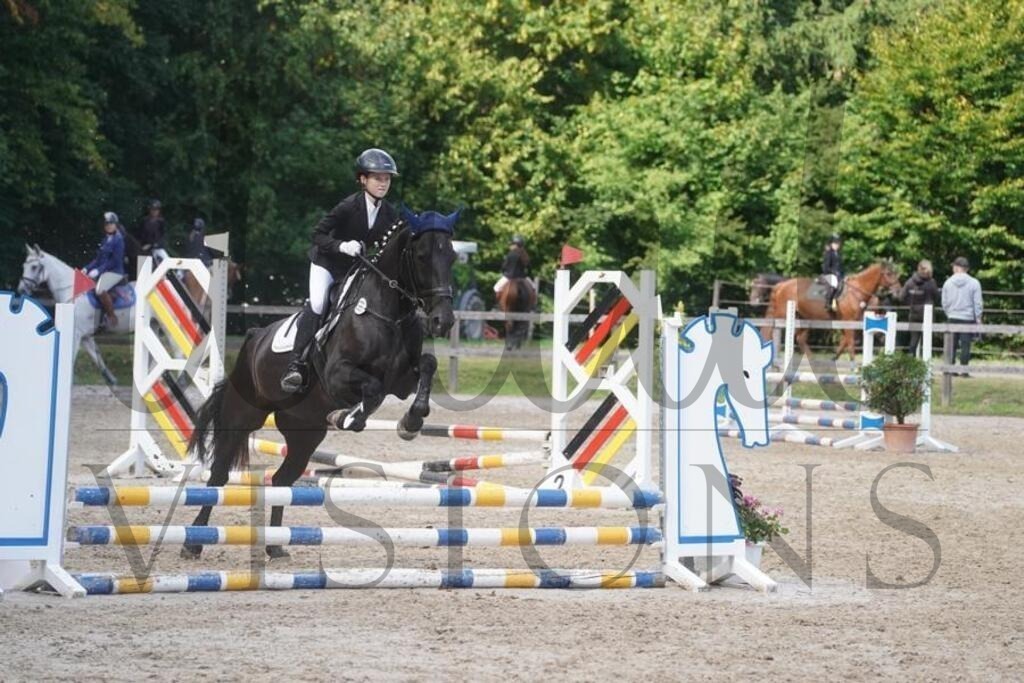 rveinoedsonntag (592) | d.tail Visions - Shop - Realisiert mit Pictrs.com