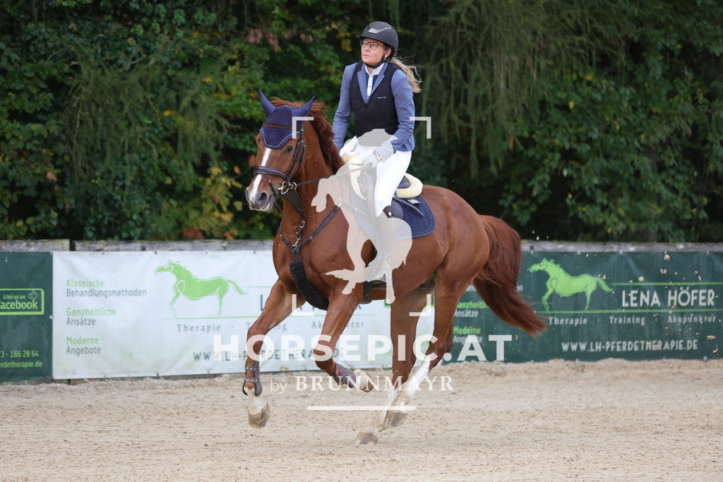 0P6A0785 | Willkommen bei Brunnmayr - Design & Fotografie – Ihrem Spezialisten für Reitturniere und Pferdeveranstaltungen in Oberösterreich, Salzburg und Bayern! Seit über 17 Jahren sind wir leidenschaftlich dabei.