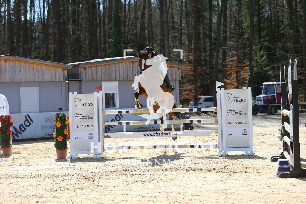 DL2Q5047 | Willkommen bei Brunnmayr - Design & Fotografie – Ihrem Spezialisten für Reitturniere und Pferdeveranstaltungen in Oberösterreich, Salzburg und Bayern! Seit über 17 Jahren sind wir leidenschaftlich dabei.