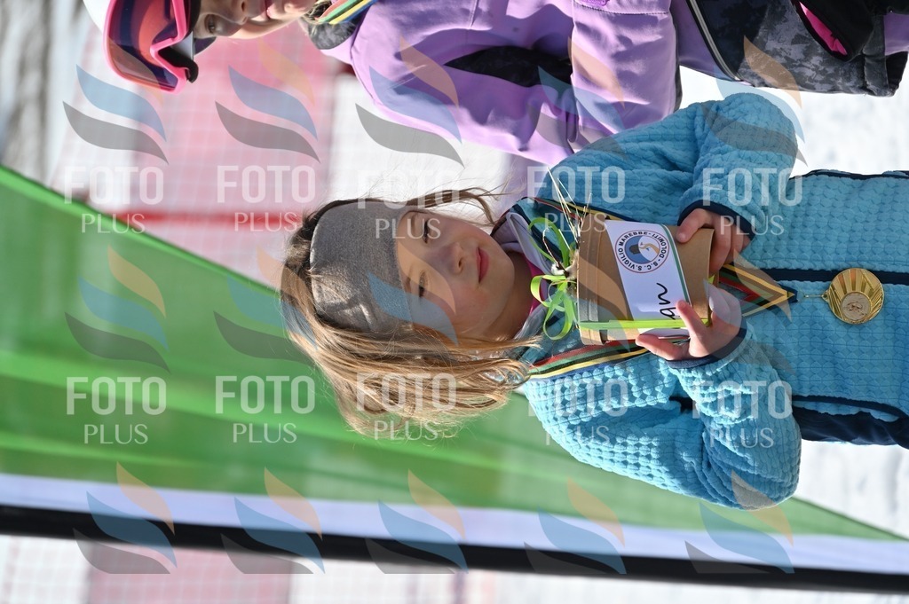 C7161 | holidayphoto