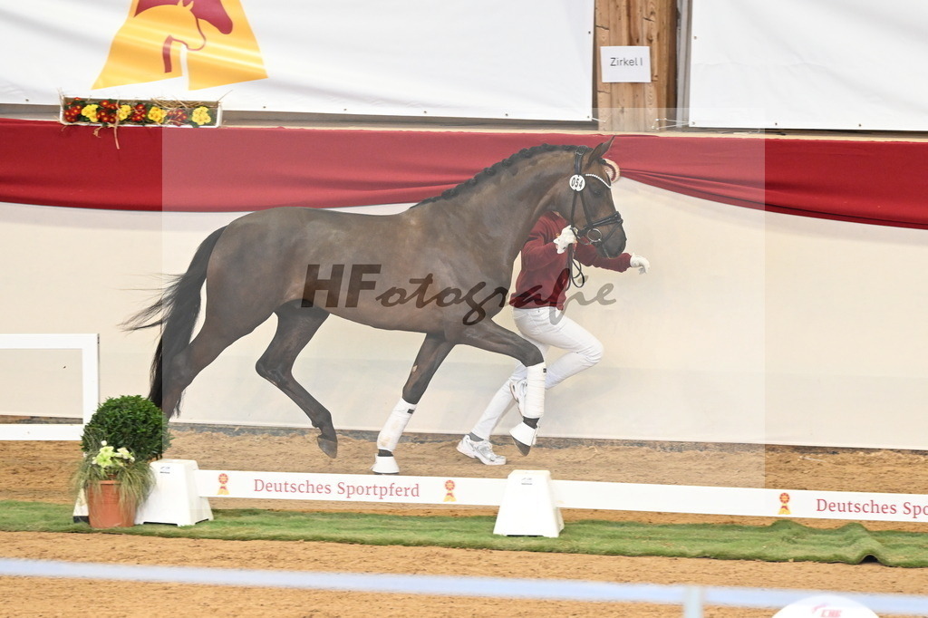 Kat.-Nr. 54 v. Feliciano_Rupp_3260558 | hf-fotografie - Realisiert mit Pictrs.com