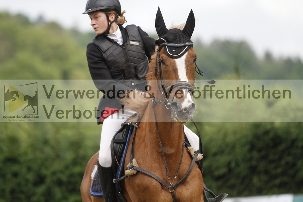 _MG_4257 | equestrian-live-com
