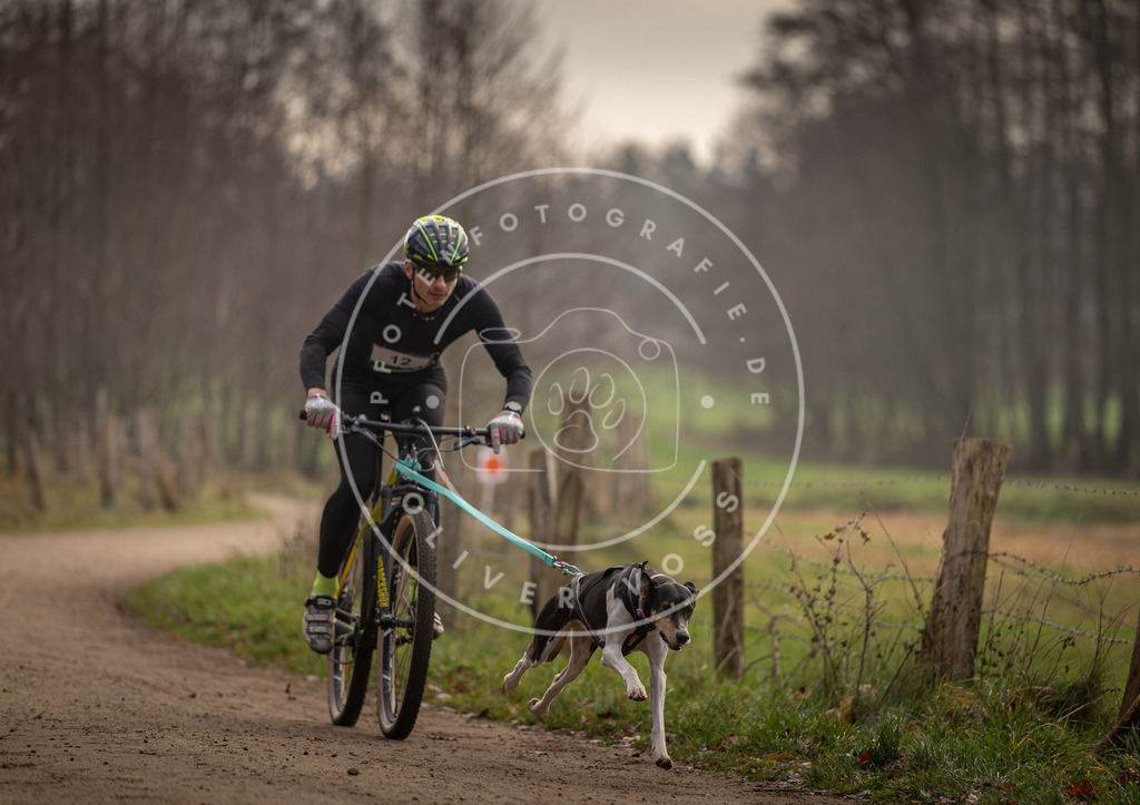 Pfotenfotografie_DV3A1778 | Hundefotografie, Tierfotograf, Pfotenfotografie, Fotoshooting Hund, Hunde Portrait, Hundesport, Hundeportraits, Heideshooting, Hunde, Sportfotograf, Hundefotograf, Turnierhundsport, THS,  - Realisiert mit Pictrs.com