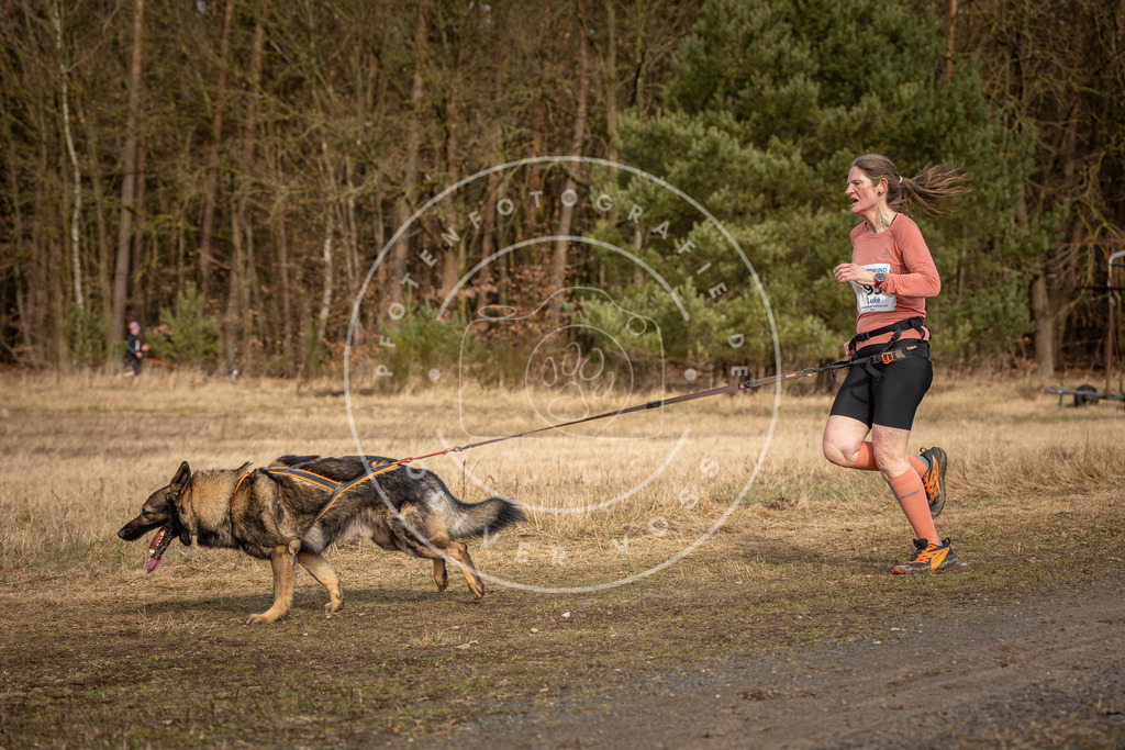 DV3A4004 | Hundefotografie, Tierfotograf, Pfotenfotografie, Fotoshooting Hund, Hunde Portrait, Hundesport, Hundeportraits, Heideshooting, Hunde, Sportfotograf, Hundefotograf, Turnierhundsport, THS,  - Realisiert mit Pictrs.com
