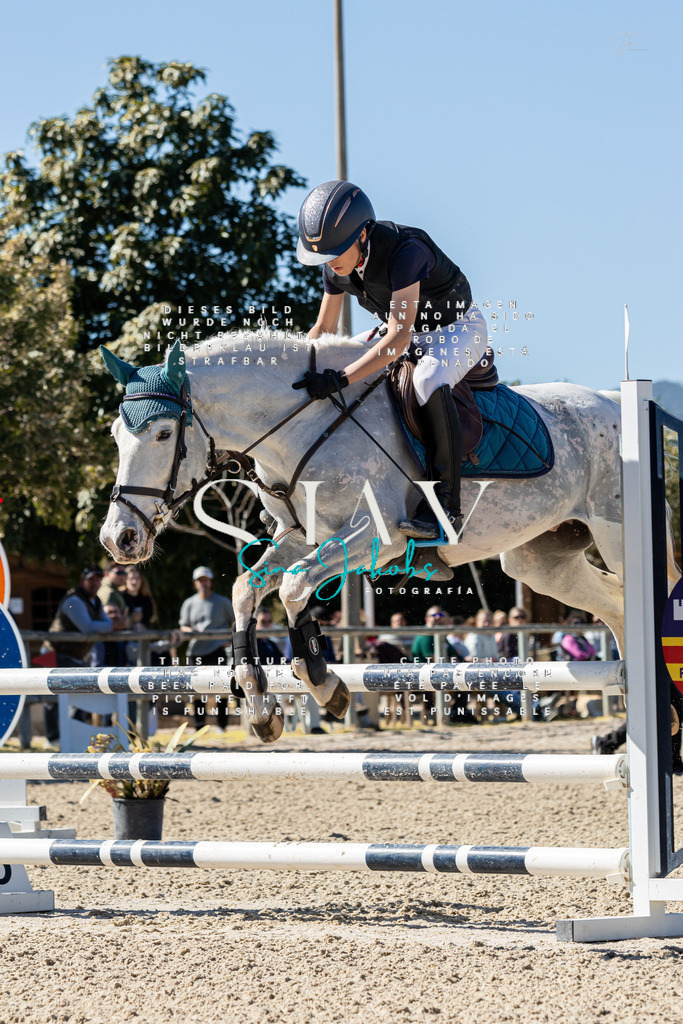 IMG_0228 | s-jay-photography - Realisiert mit Pictrs.com