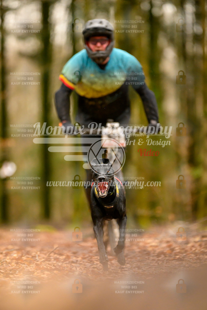 MompixPhotography_Habay2024_SA_Scooter-32 | PayLife