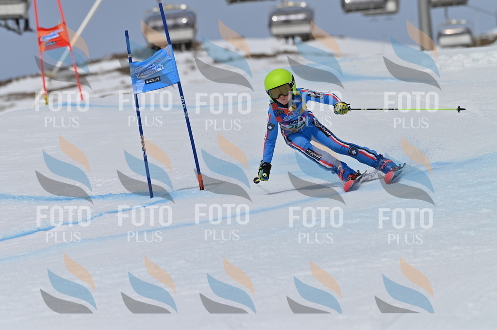 BGV_5659 | holidayphoto