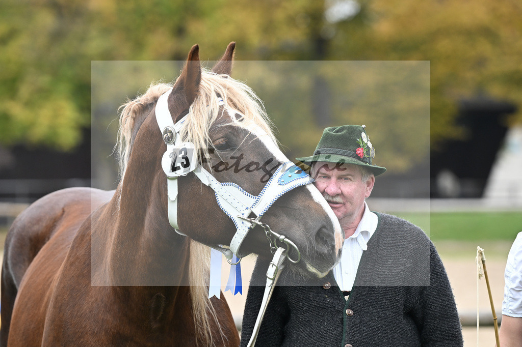 Kat-Nr. 23 Edelfee v. Vestus_Strauss_41250642 | hf-fotografie - Realizzato con Pictrs.com