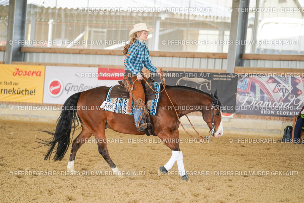 DSC02767 | Pferdegrafie