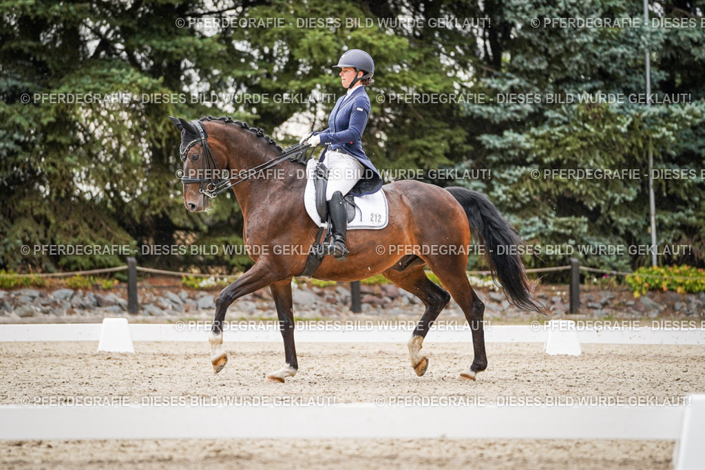 DSC07937 | Pferdegrafie