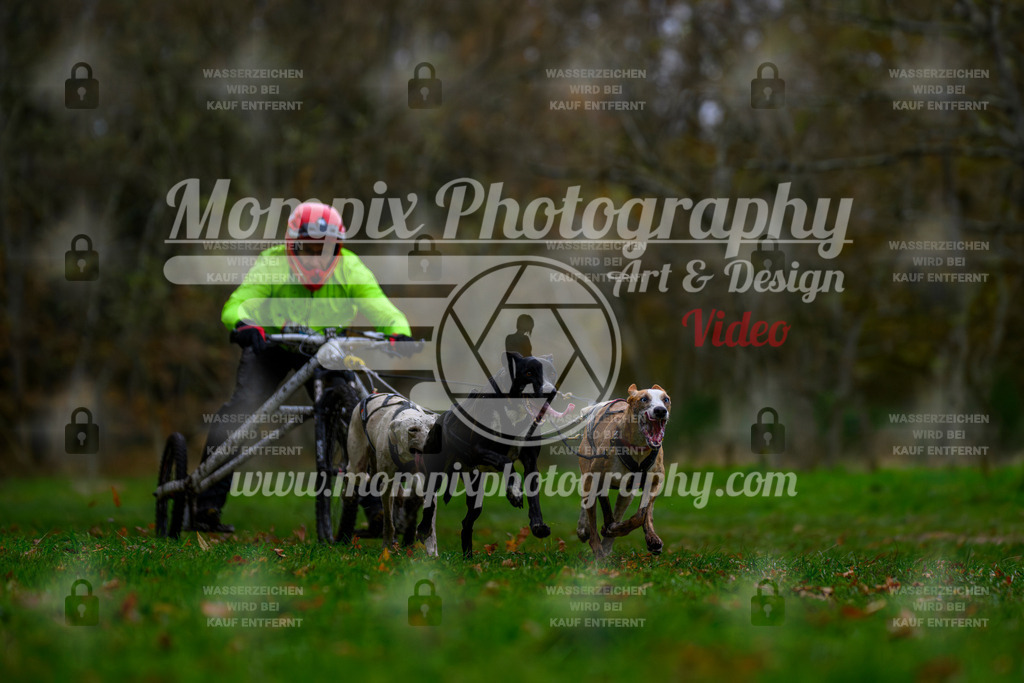 MompixPhotography_Bischwiller24_SA_Kart-1 | PayLife