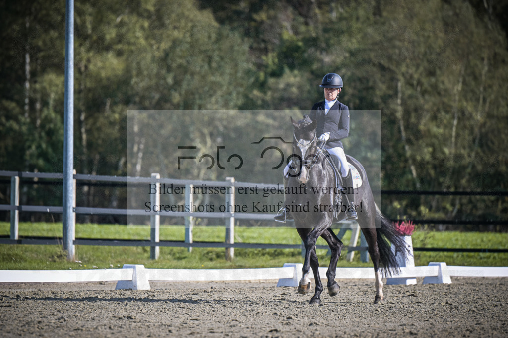DOS_2910 | Entdecke hochwertige Reitturnierfotos von Foto Oger. Professionell, emotional und authentisch – jetzt Lieblingsmomente im Shop bestellen.Deutschlandweite Turnierfotografie. - Realisiert mit Pictrs.com