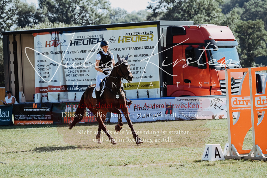 DSC_5598 | Pferde- und Turnierfotografie in Westsachsen. Pferdeportraits, Auftragszeichnungen und intuitive Kunst.