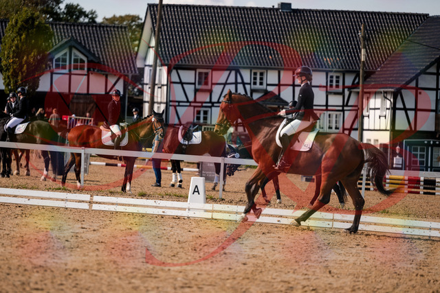 2026_10_03_Siefer-Hof_131043_Z63_73909646 | Professionelle Reitsport-, Turnier- und Eventfotografie von Robert Broda. Galerien mit ausgewählten und bearbeiteten Bildern direkt online ansehen und bestellen.