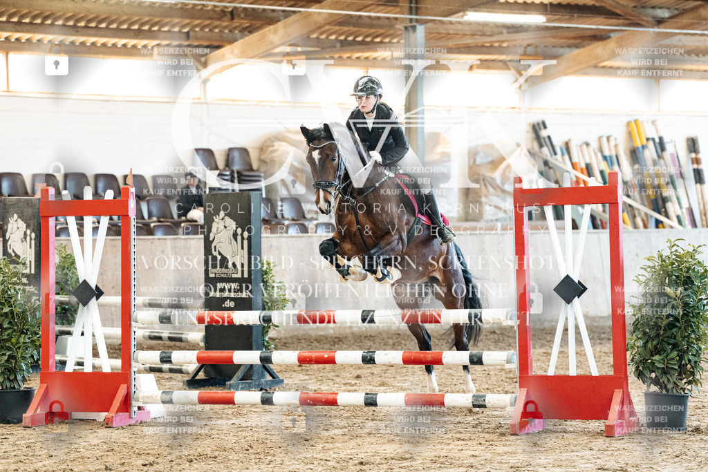 CK904530 | Turnierfotografie Pferdefotografie Trier Rheinland-Pfalz Pferdesport Reitsport Tierfotografie Sportfotografie Pferdevideo Pferdevideografie Equestrianvideography equestrianphotography  - Realized with Pictrs.com