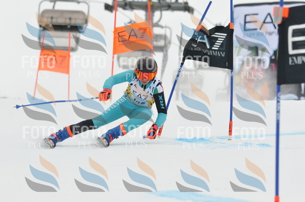 DSC_8406 | holidayphoto