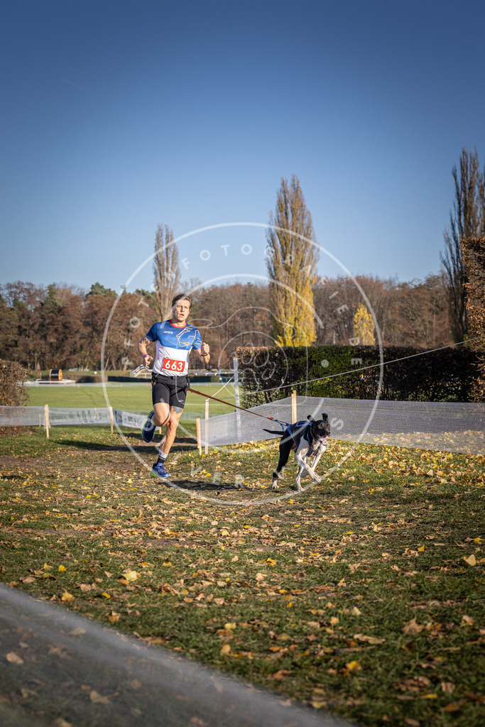 CaniXpix_DV3A0721 | Hundefotografie, Tierfotograf, Pfotenfotografie, Fotoshooting Hund, Hunde Portrait, Hundesport, Hundeportraits, Heideshooting, Hunde, Sportfotograf, Hundefotograf, Turnierhundsport, THS,  - Realisiert mit Pictrs.com