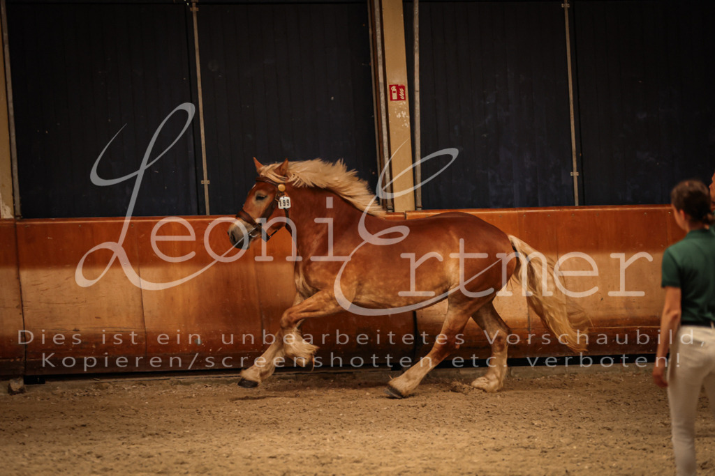 SaFL00409 | Leoni Ertmer Photography - Realisiert mit Pictrs.com