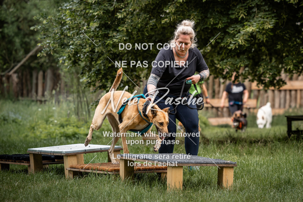 nelerasche_So-funtrail_157 | nelerasche