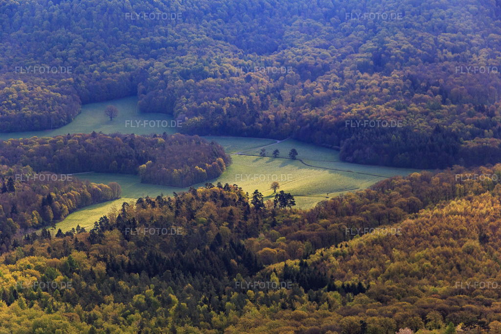 Luftbild: Waldlichtung im Steigerwald im Ortsteil Neuhausen in Michelau im Bundesland Bayern in Deutschland. Foto: IMG_087789.jpg vom 05.05.2016 durch Werner Riehm/FLY-FOTO.de