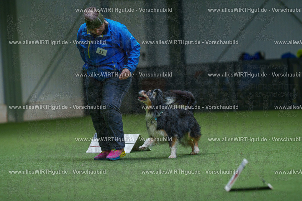 7R506476 | Professionelle Tierfotografie in Mönchengladbach von Daniel Wirth (allesWIRTHgut). Liebevolle & natürliche Bilder von Hunden & Katzen für unvergessliche Erinnerungen.