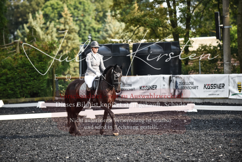 DSC_3301 | Pferde- und Turnierfotografie in Westsachsen. Pferdeportraits, Auftragszeichnungen und intuitive Kunst.