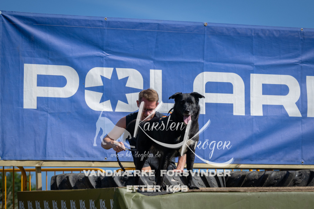 1059_ZZ90052 | kk-dogfotos
