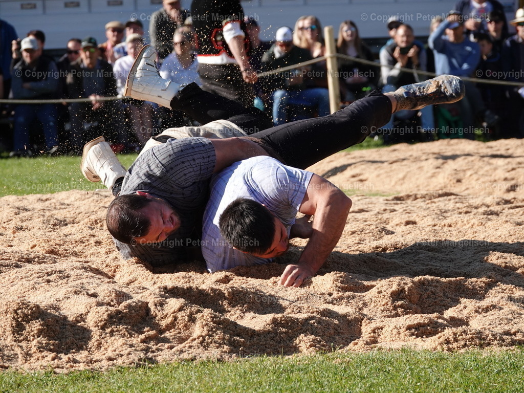 DSC07364 | Schwingen - Realisiert mit Pictrs.com